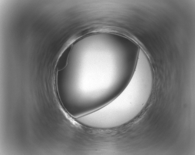X0000065960909200603030926