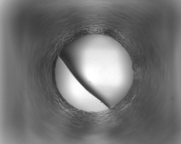 X0000065960913200603030925