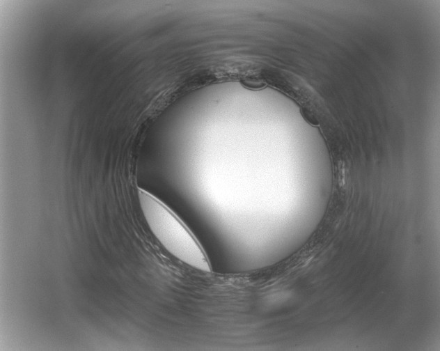 X0000065960915200603030925