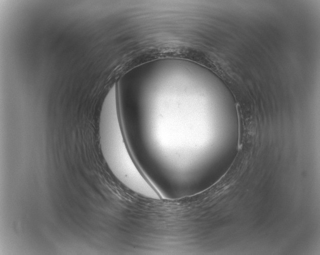 X0000065960916200603030925