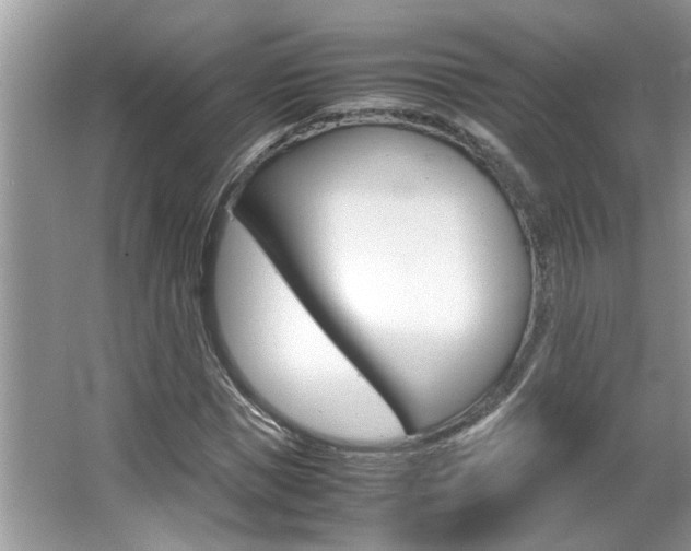 X0000065960921200603030925