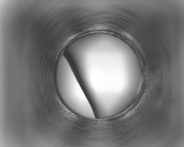 X0000065960929200603030925