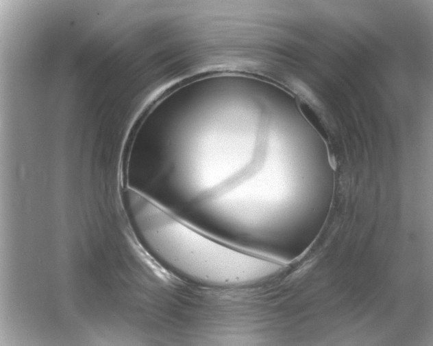 X0000065960940200603030925