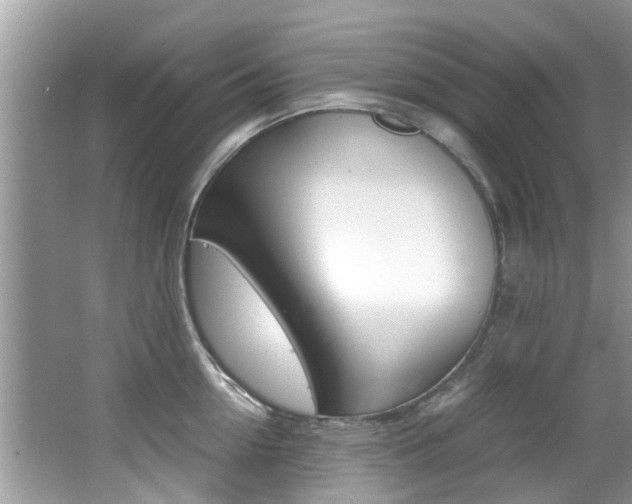 X0000065960954200603030925