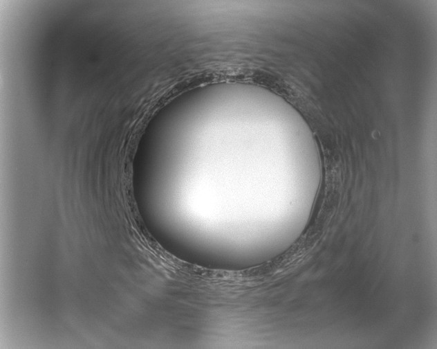 X0000065960961200603030925