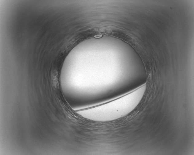 X0000065960963200603030925
