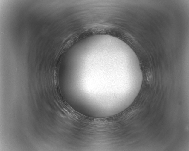 X0000065960964200603030925