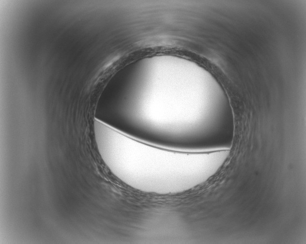 X0000065960967200603030925