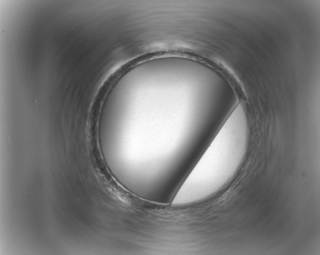 X0000065960975200603030925