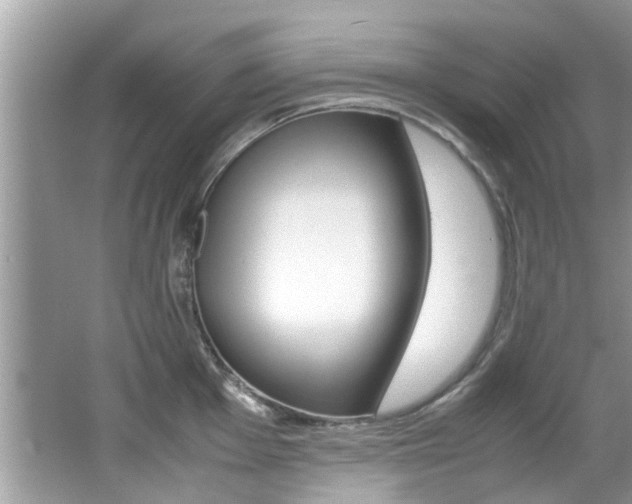 X0000065961001200603030924