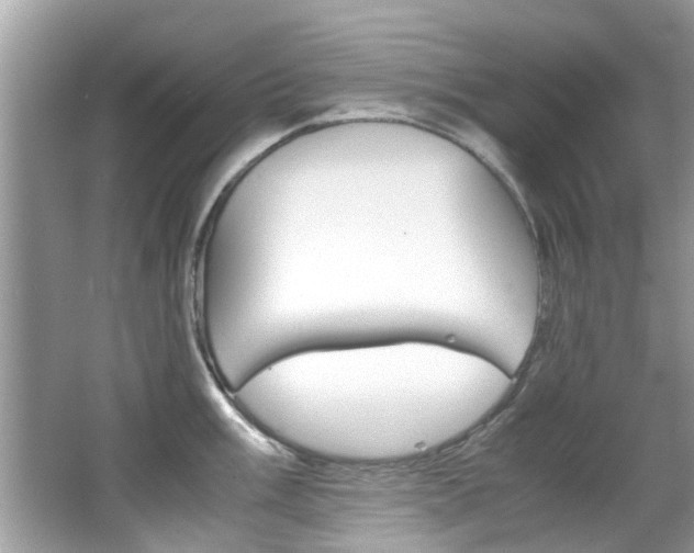 X0000065961003200603030924