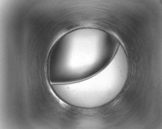 X0000065961007200603030924