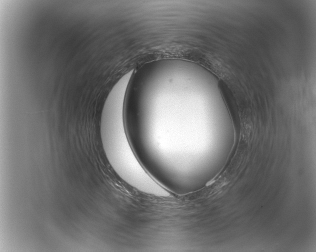 X0000065961010200603030923