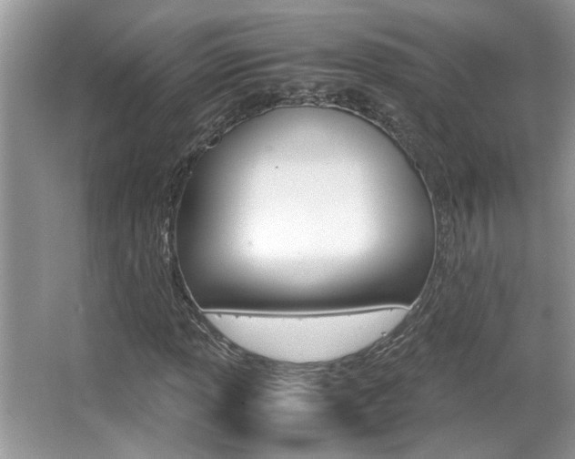 X0000065961013200603030923