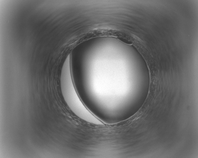 X0000065961014200603030923