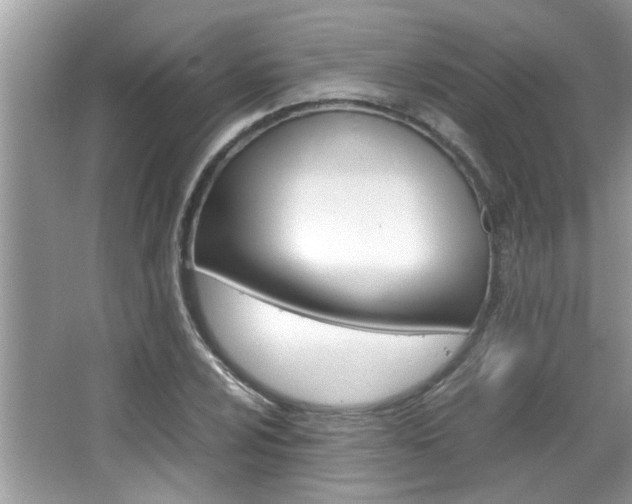 X0000065961024200603030923