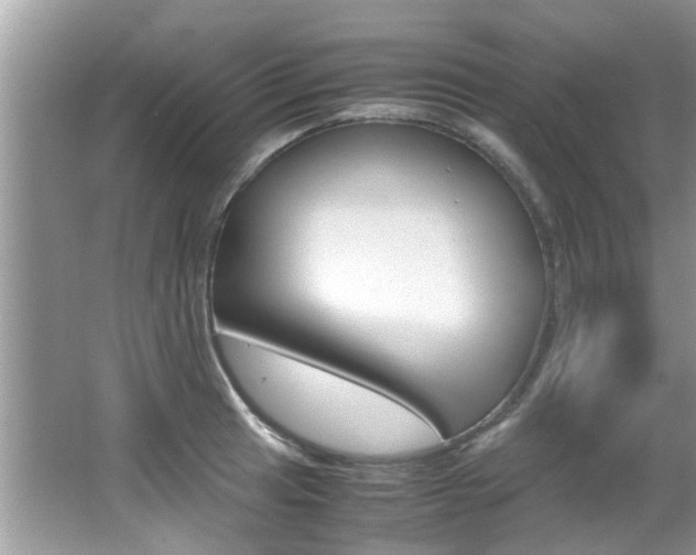 X0000065961041200603030924