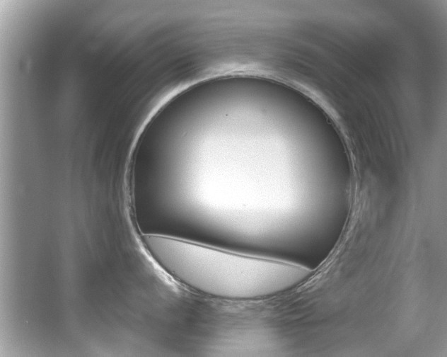 X0000065961056200603030924