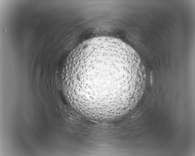 X0000065961059200603030923