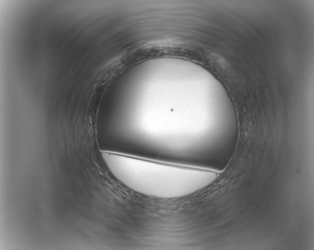 X0000065961062200603030923