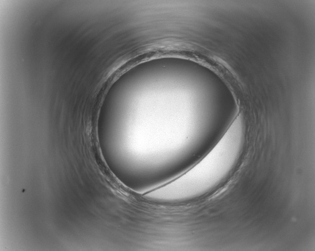 X0000065961065200603030923