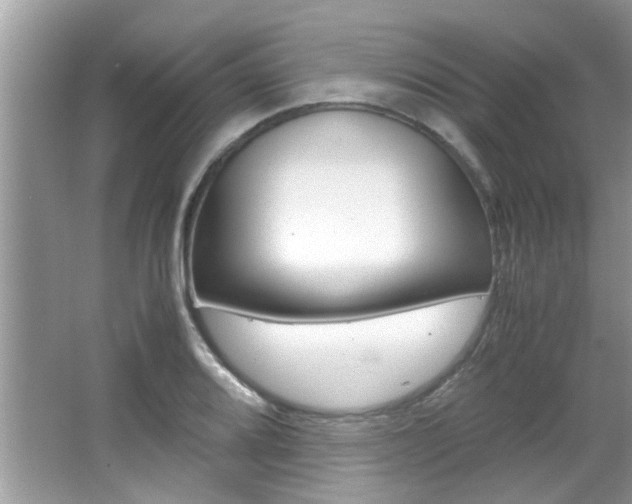 X0000065961080200603030923
