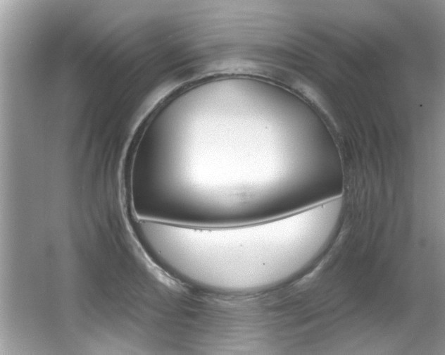 X0000065961082200603030923