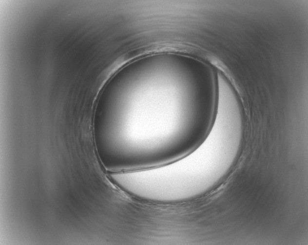X0000065961089200603030923