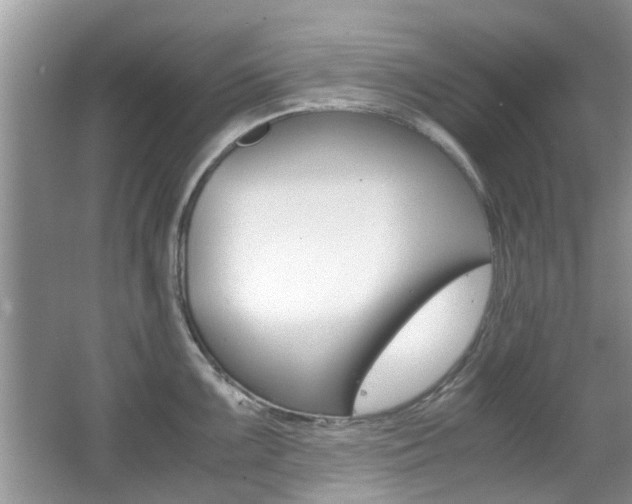 X0000065961099200603030922