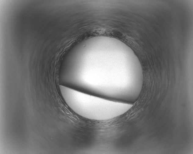 X0000065961105200603030921