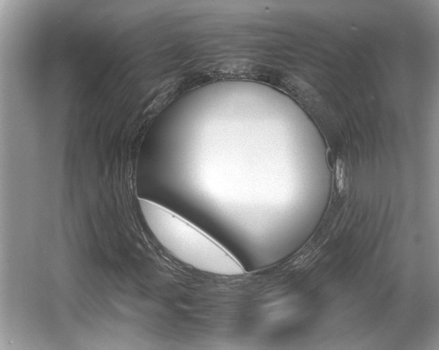 X0000065961107200603030922