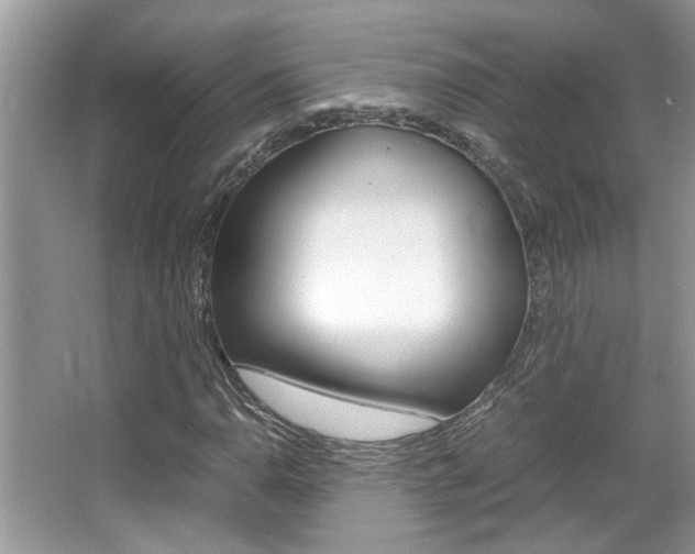 X0000065961110200603030922