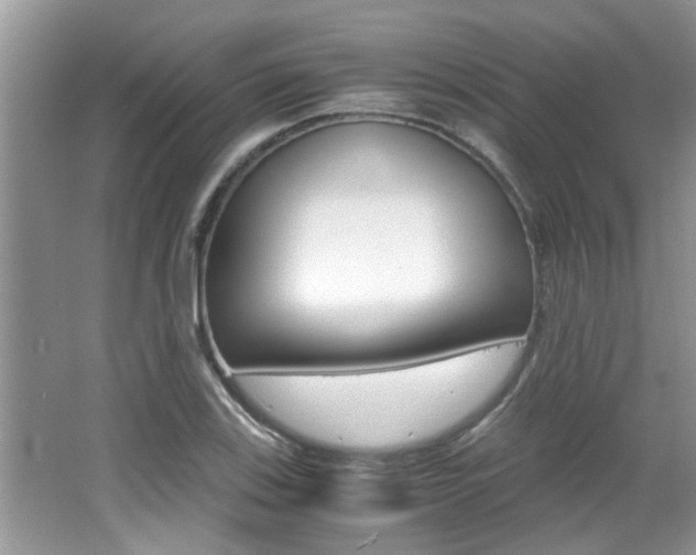 X0000065961123200603030922
