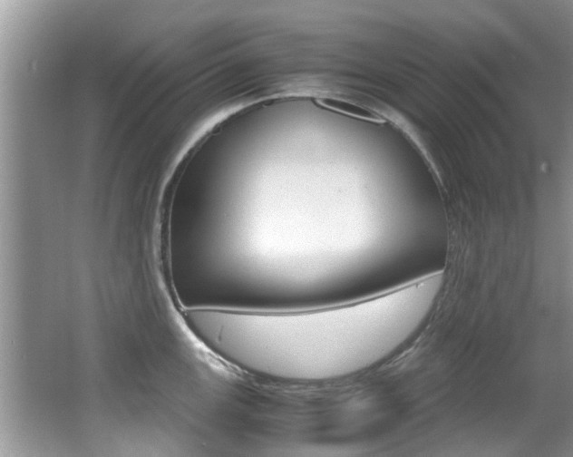 X0000065961147200603030922