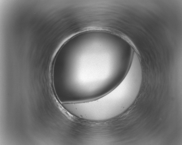 X0000065961148200603030922