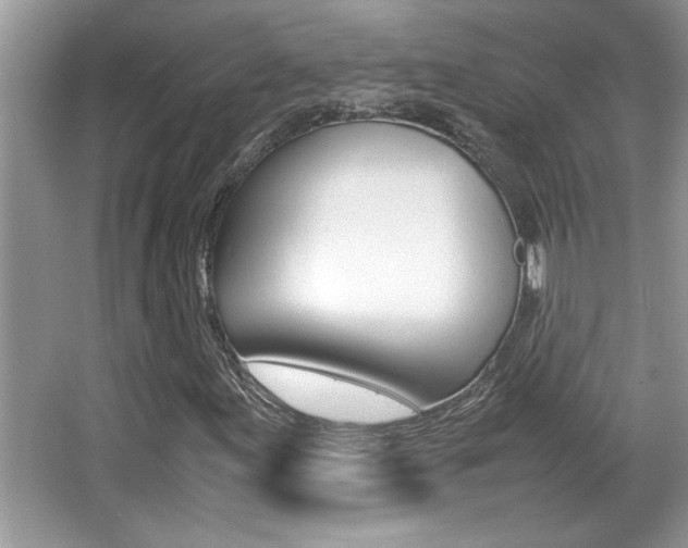 X0000065961155200603030921