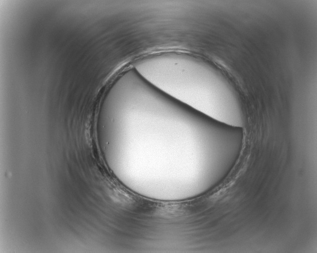 X0000065961162200603030921