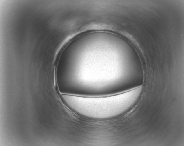 X0000065961175200603030921