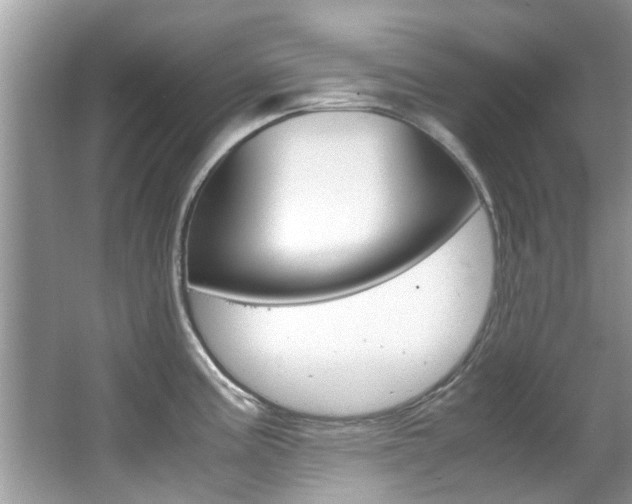 X0000065961195200603030921