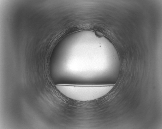 X0000065961201200603030920