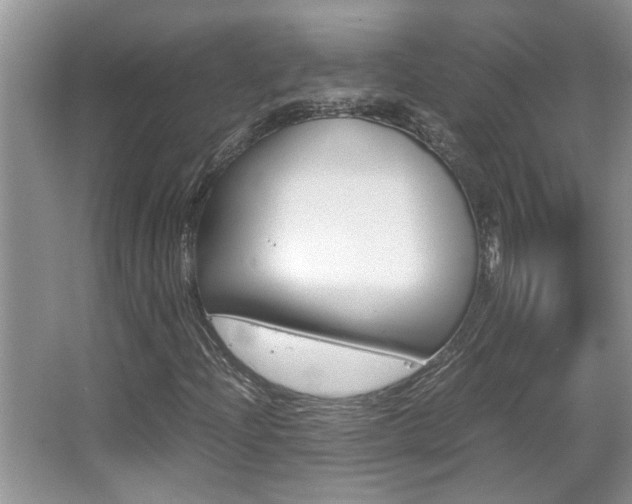 X0000065961204200603030920