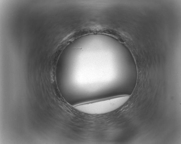 X0000065961205200603030920