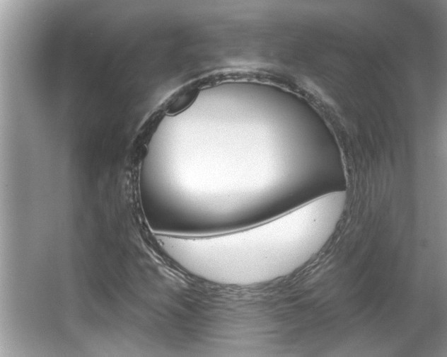 X0000065961208200603030920