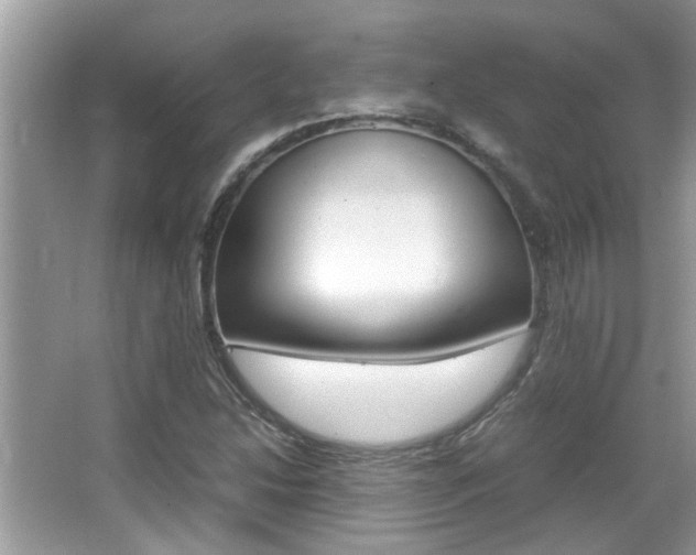 X0000065961214200603030920
