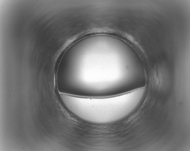 X0000065961221200603030920