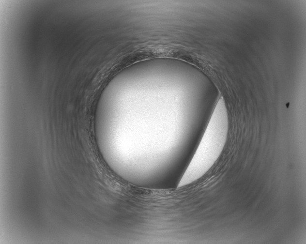 X0000065961249200603030920