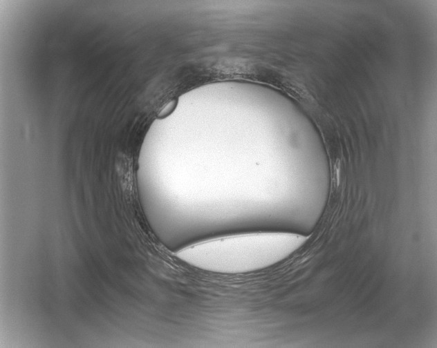 X0000065961251200603030920