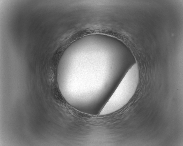 X0000065961253200603030920