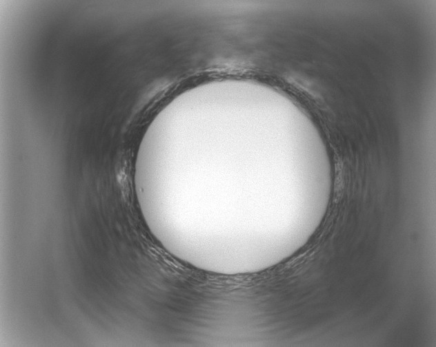 X0000065961254200603030920