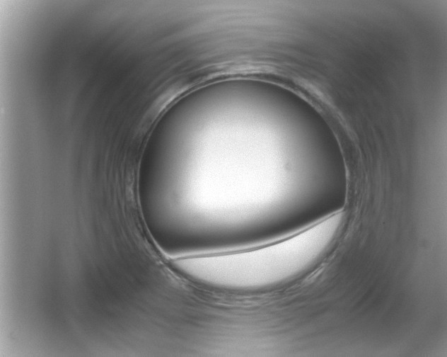 X0000065961273200603030919